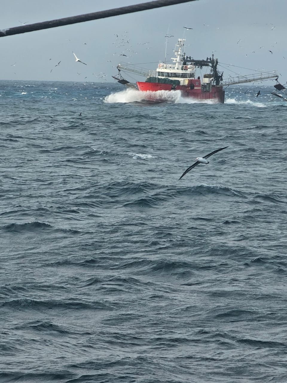 Buque pesquero José Luciano, vista 1